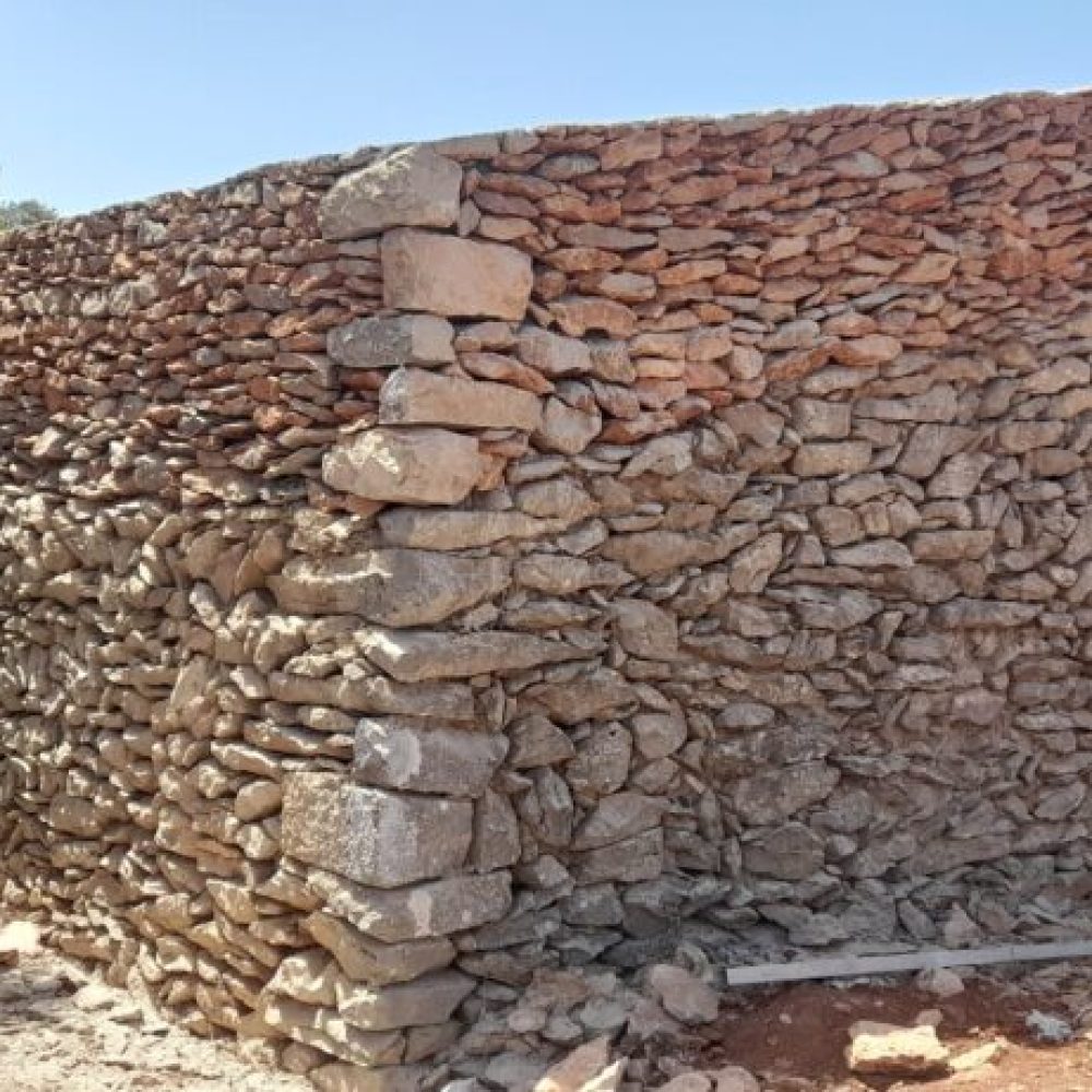 0e1a0c95-7885-44b9-a54d-ca608ca587bf-1_all_2225-1024x461